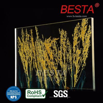 15-30mm Decorative Acrylic Sheets Partition Wall Screens Dividers